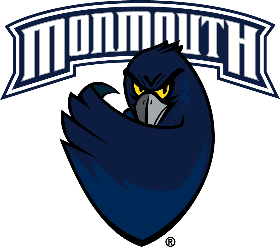 Monmouth Hawks 2003-2014 Primary Logo DIY iron on transfer (heat transfer)